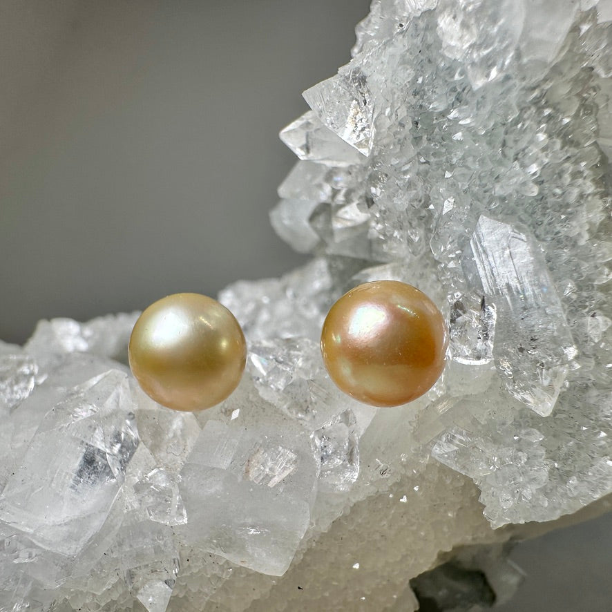 Golden South Seas Pearl Stud Earrings