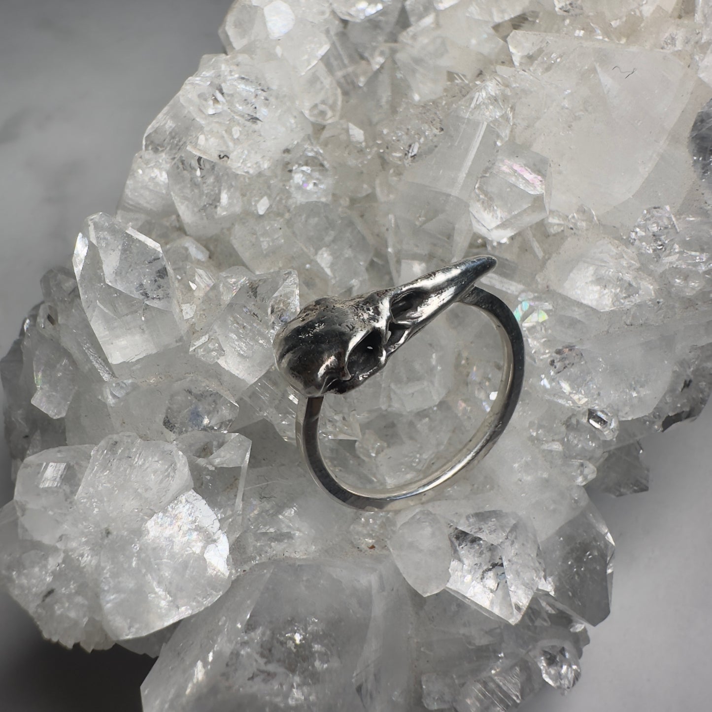 Raven Skull Ring with Thin Band