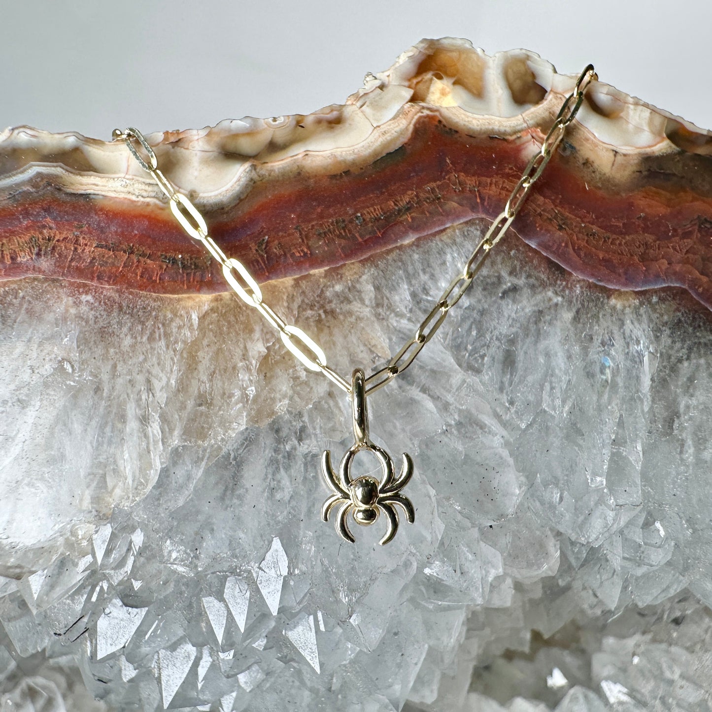 Spider Charm | 14k Yellow Gold