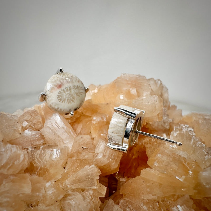 Fossilized Coral Stud Earrings | Sterling Silver