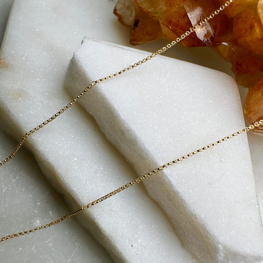 Fine Rolo Chain | 14k Yellow Gold