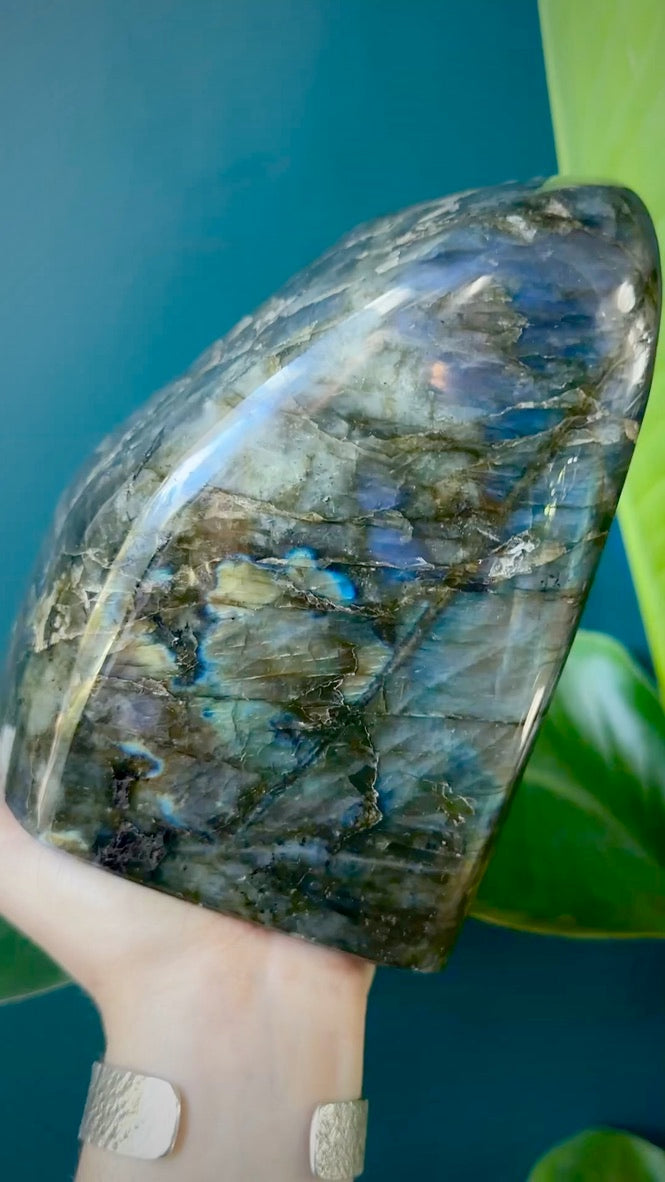 Double-Sided Blue and Rainbow Labradorite | Large Sized