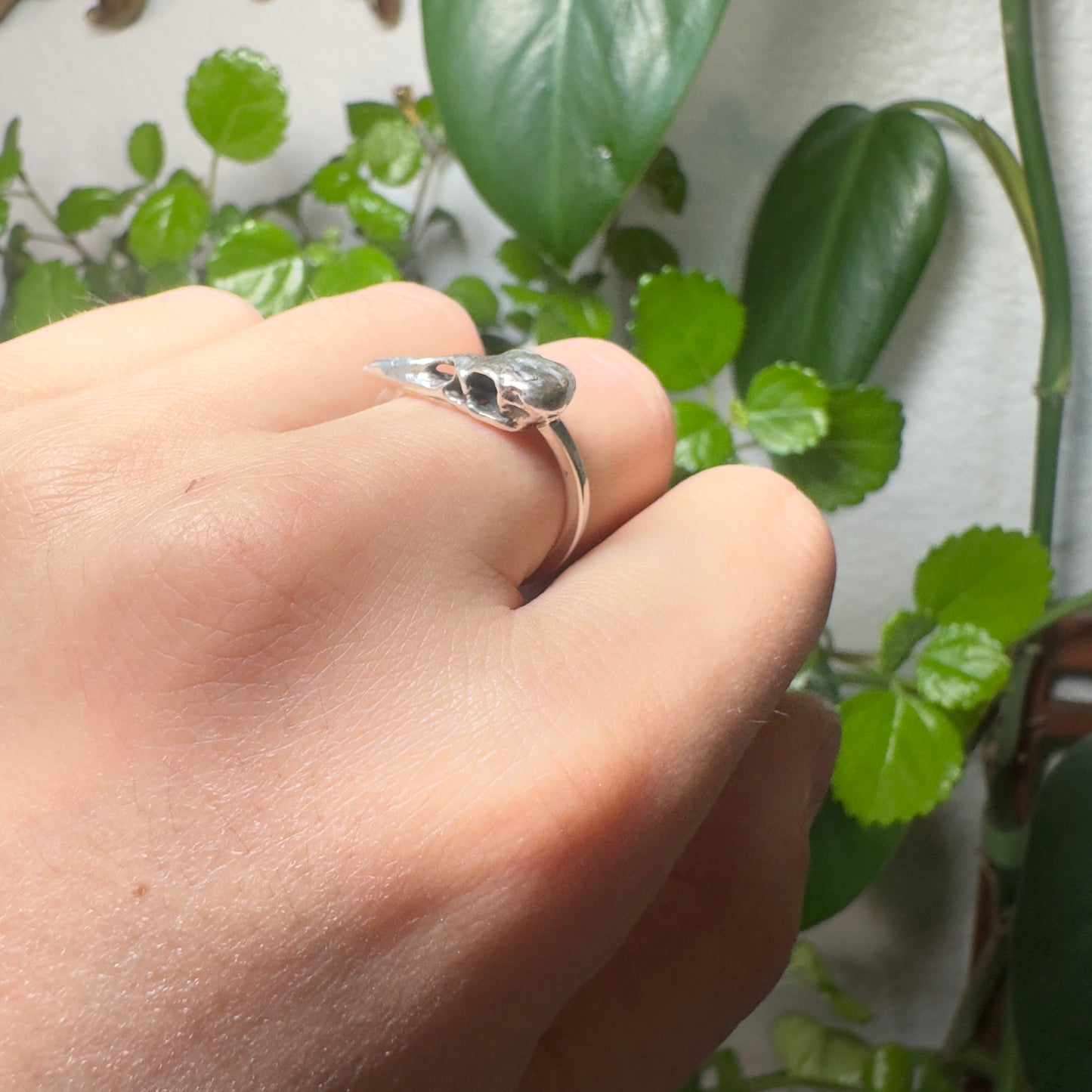 Raven Skull Ring with Thin Band