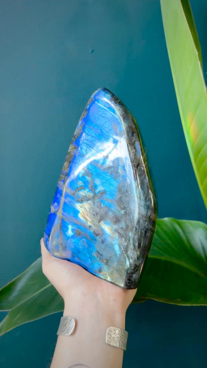 Double-Sided Blue and Rainbow Labradorite | Large Sized