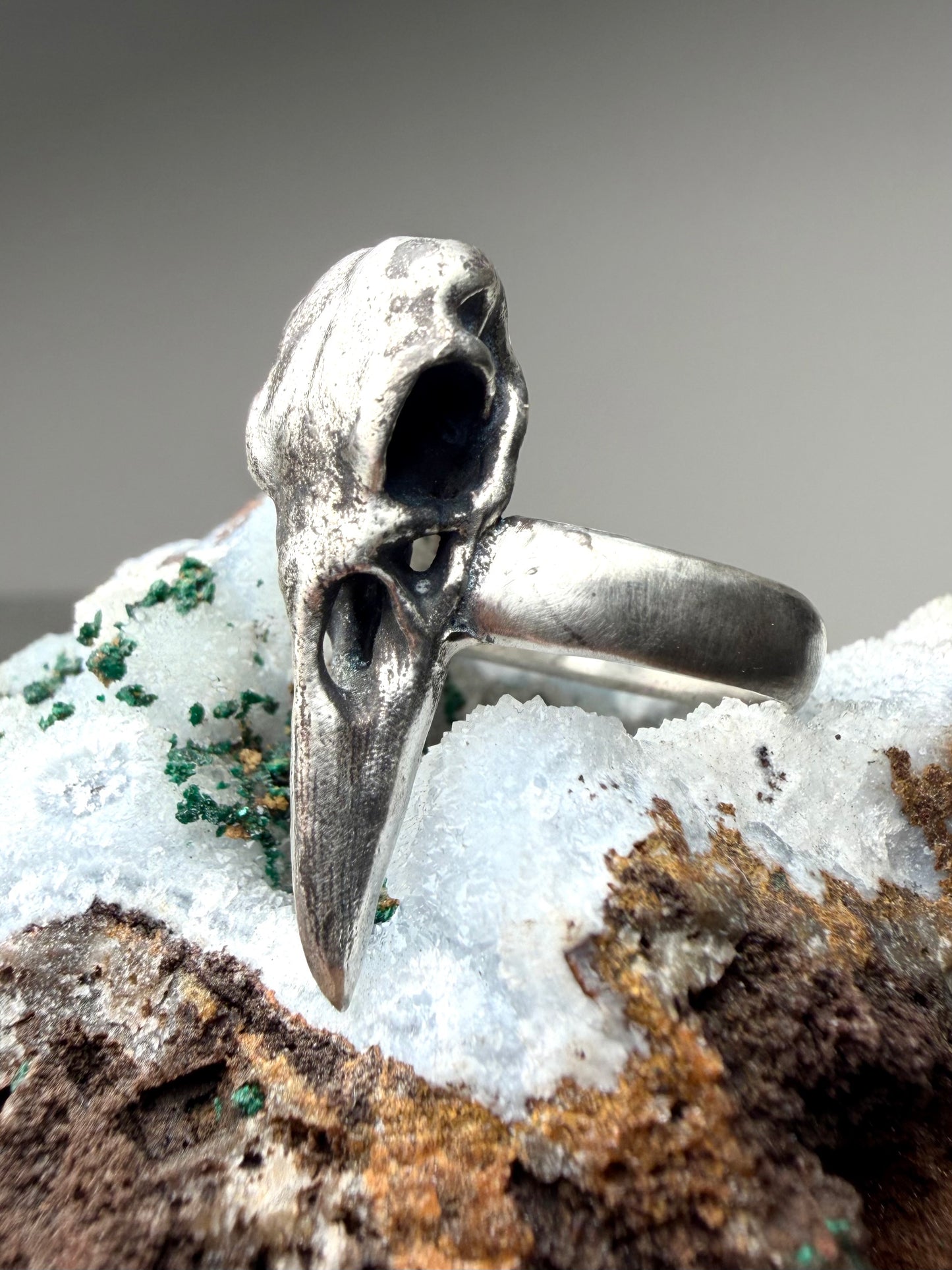Raven Skull Ring with Wide Band | Sterling Silver