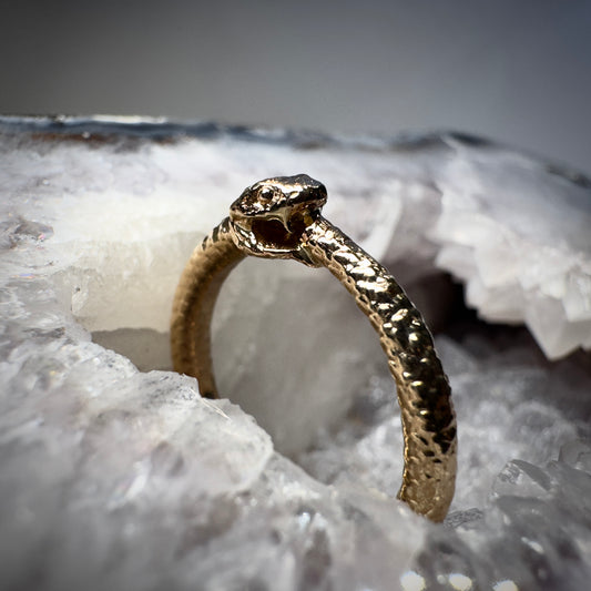 Ouroboros Ring | 14k Yellow Gold