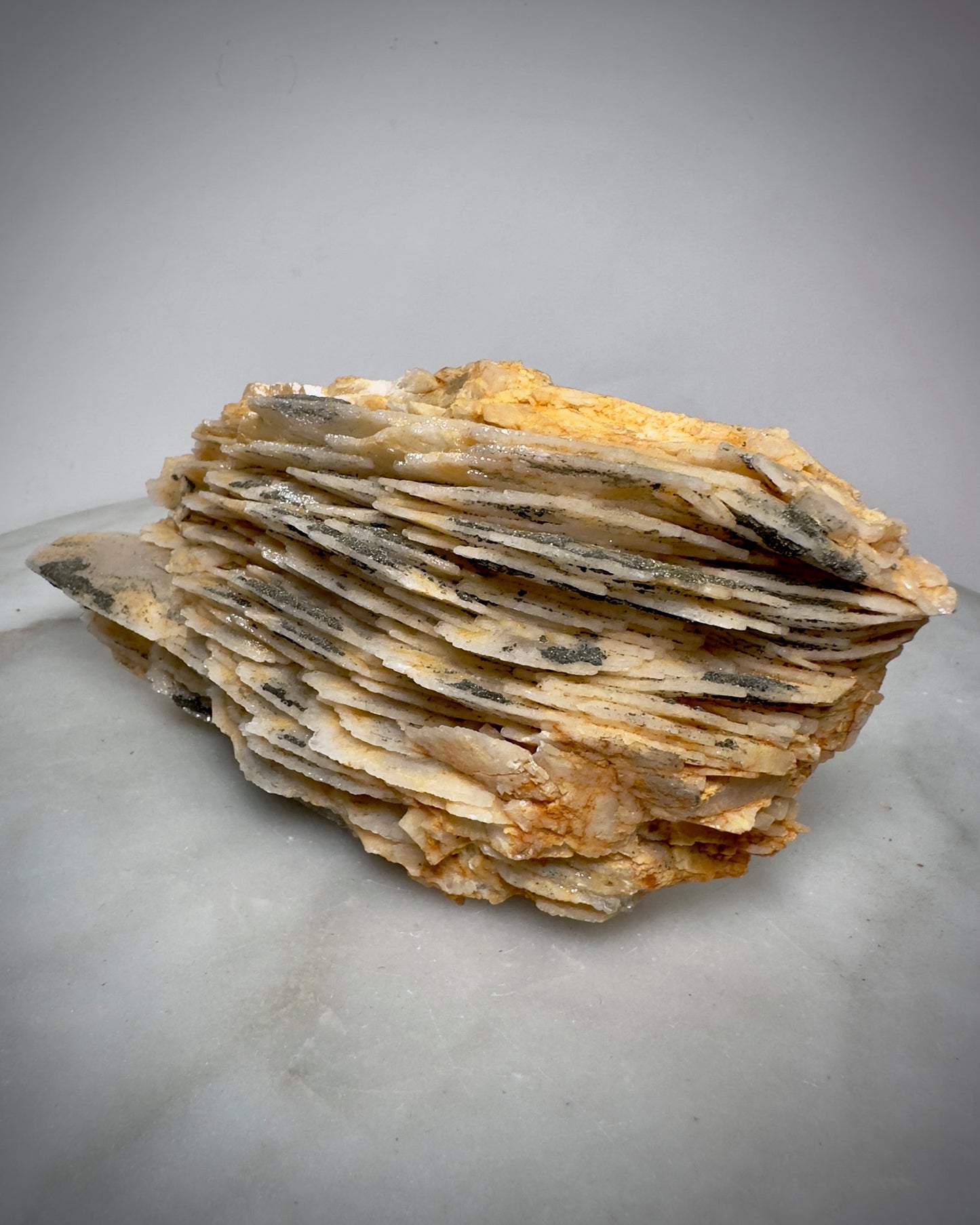 Barite with Pyrite (Large)