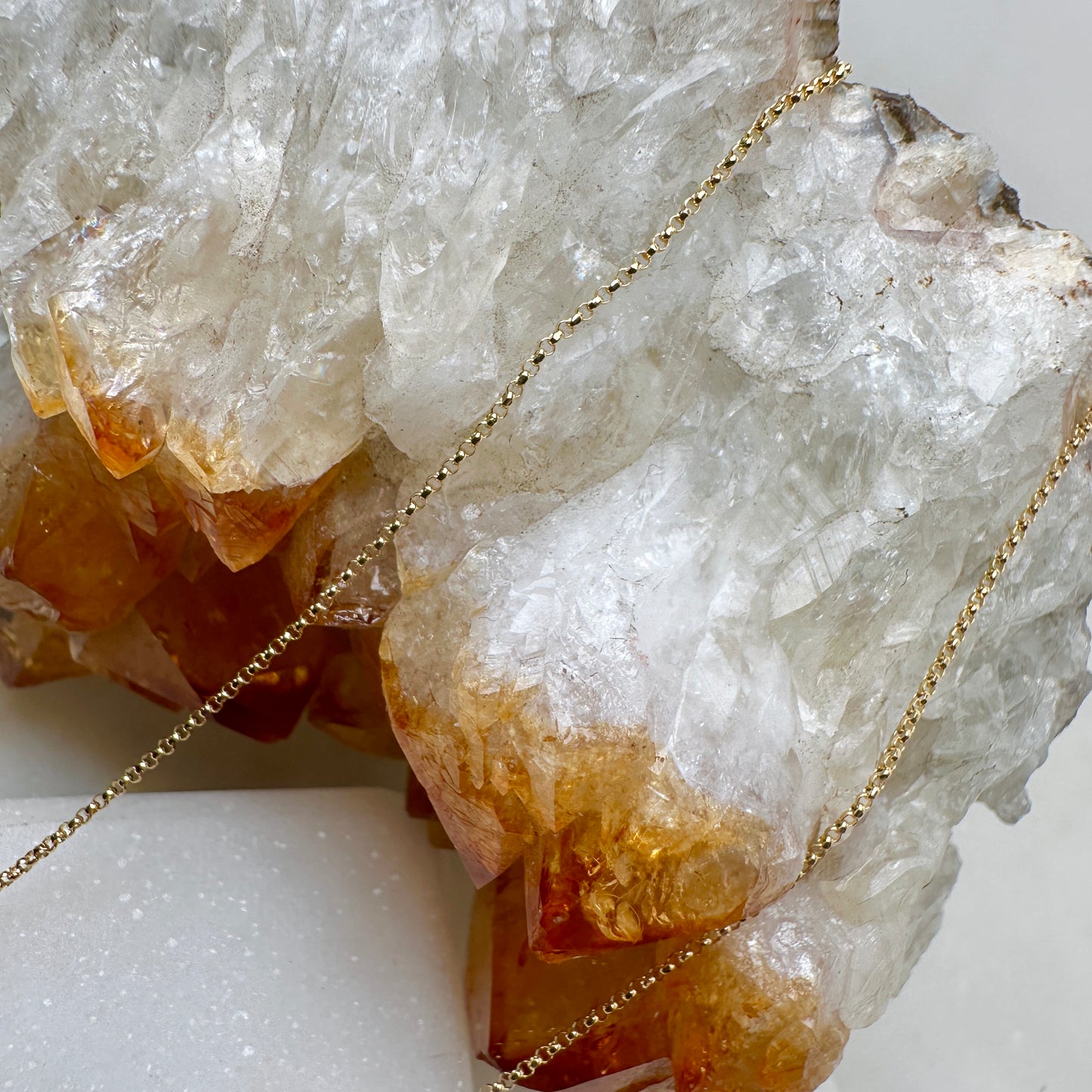 Fine Rolo Chain | 14k Yellow Gold