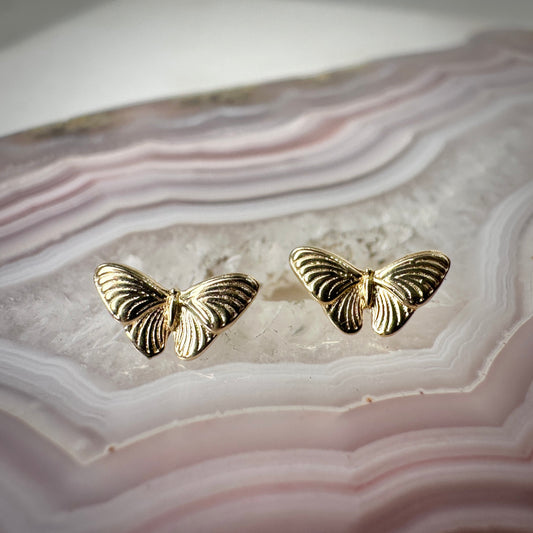 Butterfly Stud Earrings | 14k Yellow Gold