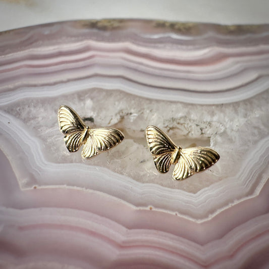 Butterfly Stud Earrings | 14k Yellow Gold
