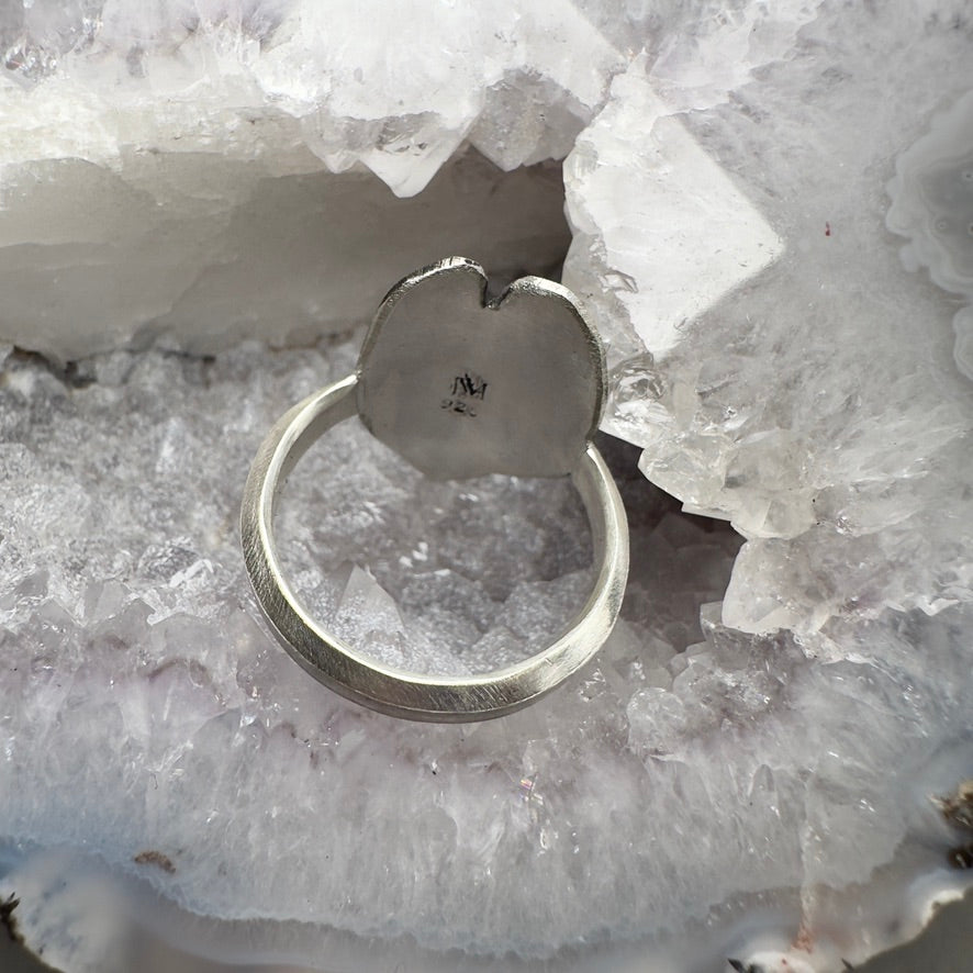 Anthurium Crystallinum Leaf Ring