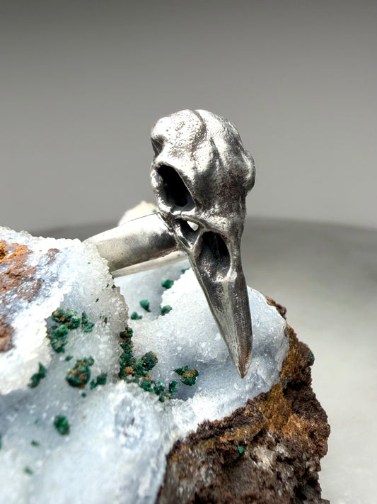 Raven Skull Ring with Wide Band | Sterling Silver