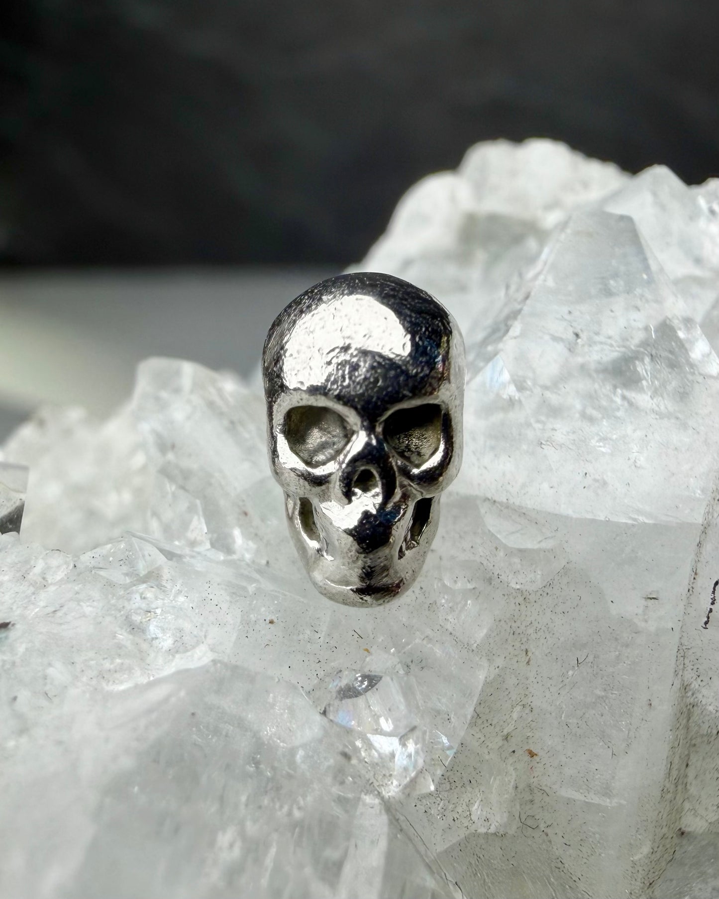 Mini Skull Chain Slide Charm | Platinum | LUX FORGE Legacy Collection