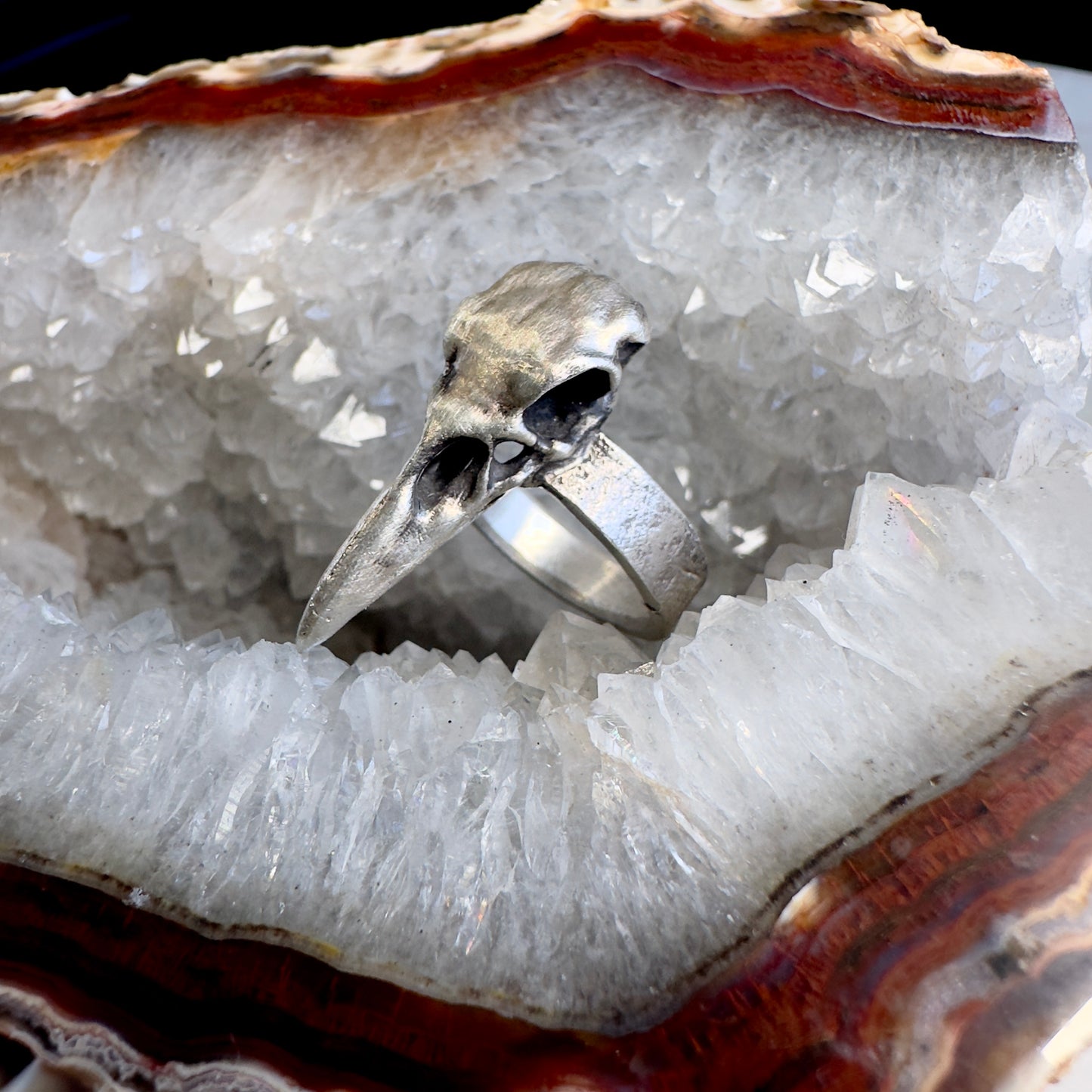 Raven Skull Ring with Wide Band