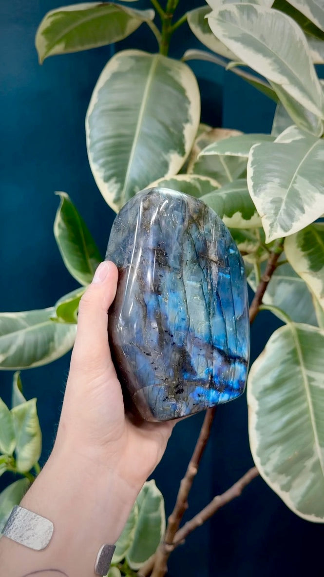 Blue & Teal Labradorite | Medium Sized