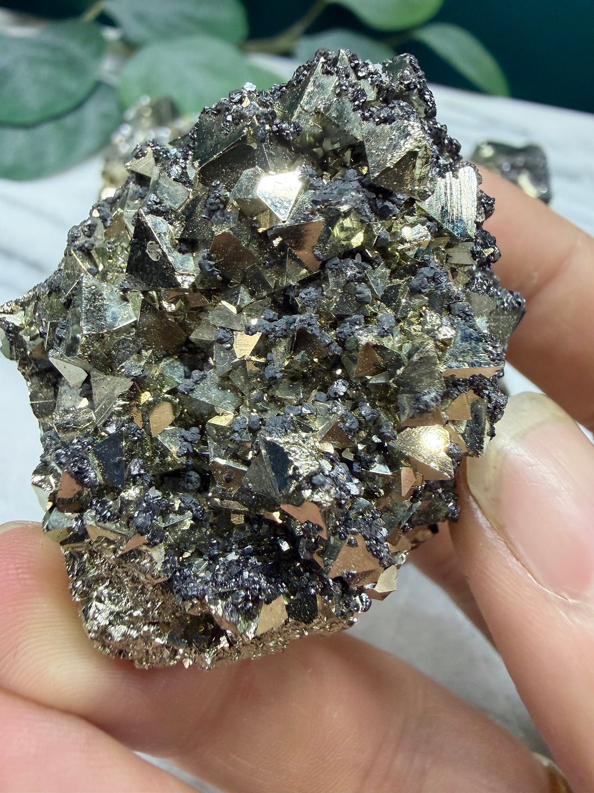 Pyrite with Sphalerite Crystal Clusters | Mineral Specimen form Peru