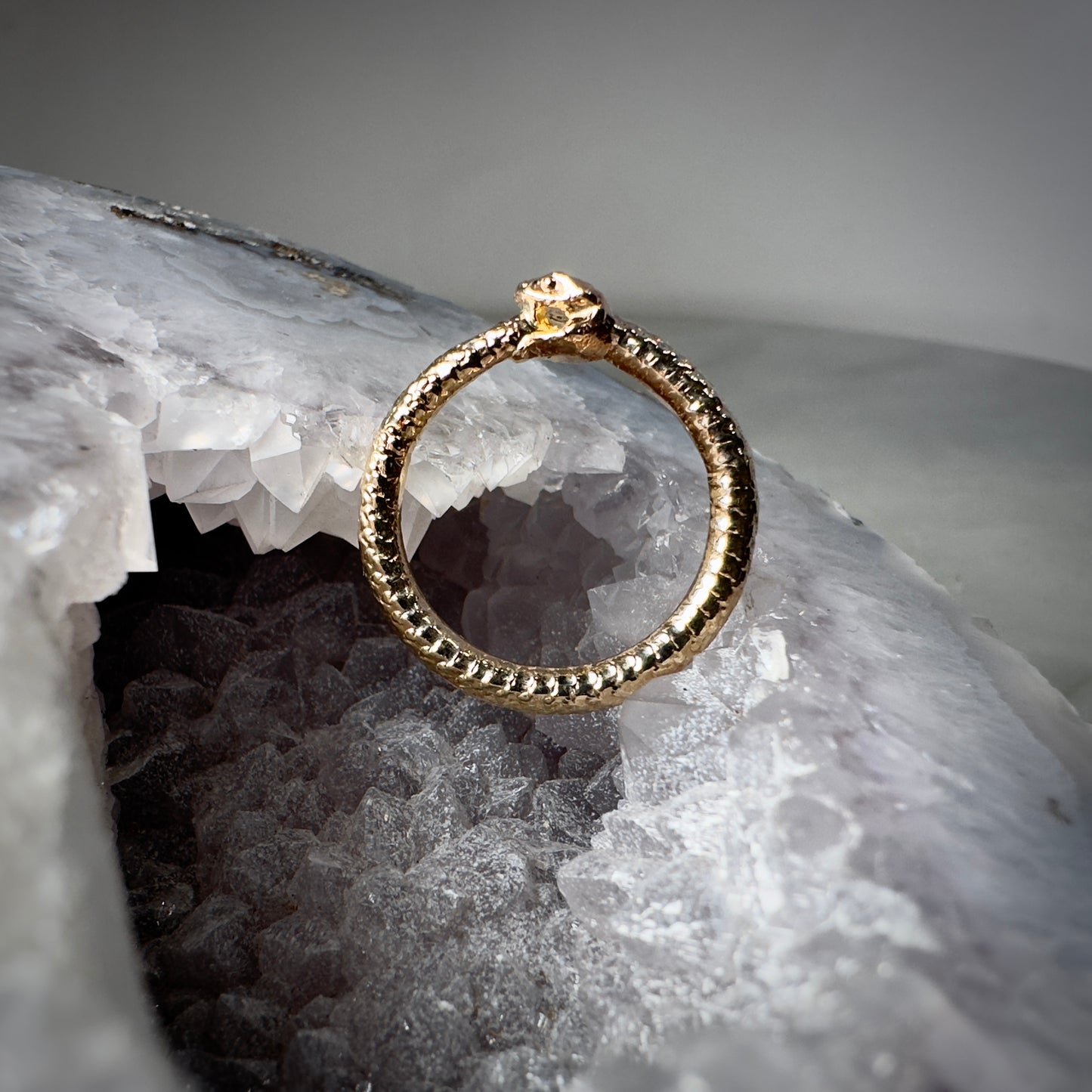 Ouroboros Ring in 14k Yellow Gold