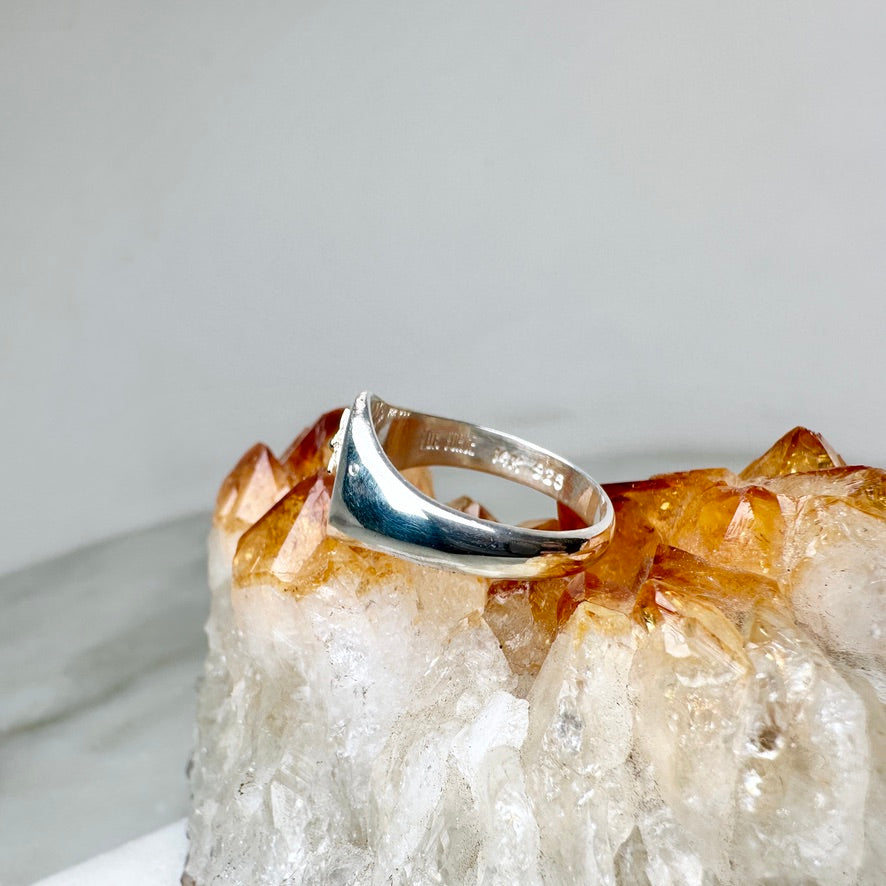 Orange Garnet & Dragonfly Signet Ring | 14k Yellow Gold & Sterling Silver