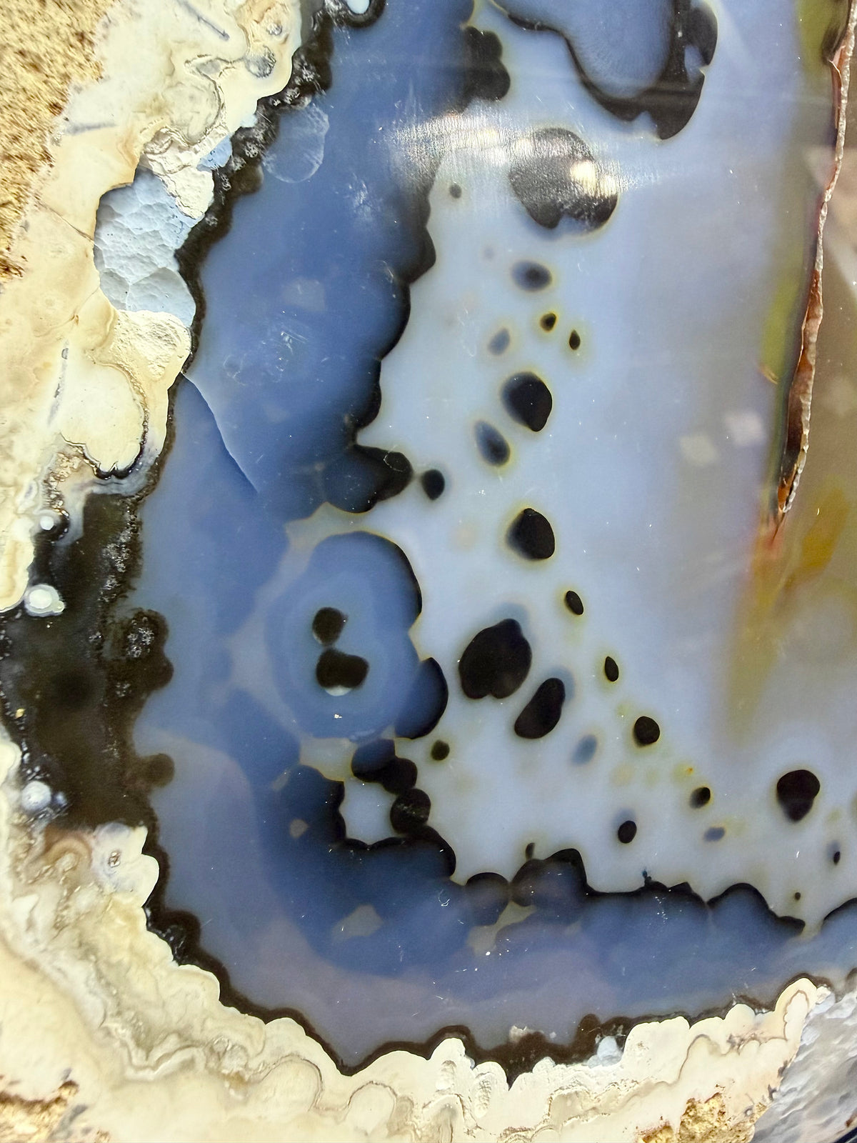 Blue & White Agate Slice | Cabinet Sized Mineral Specimen from Brazil