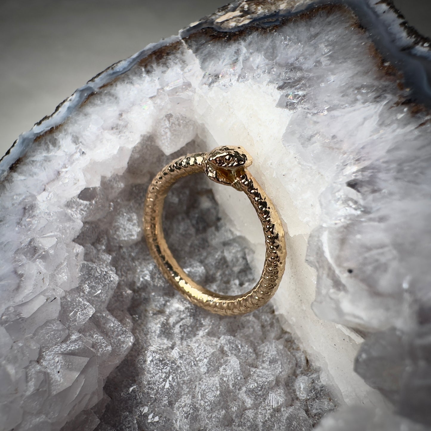 Ouroboros Ring in 14k Yellow Gold