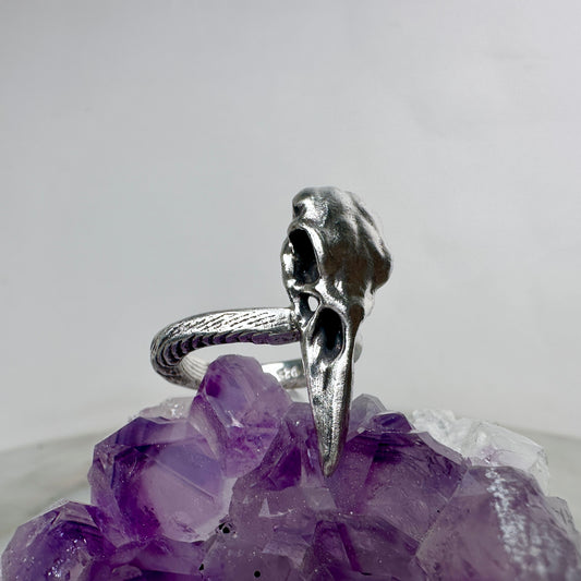 Raven Skull Ring with Organic Band | Sterling Silver