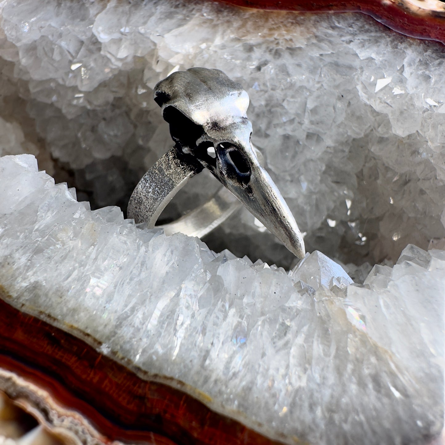 Raven Skull Ring with Wide Band