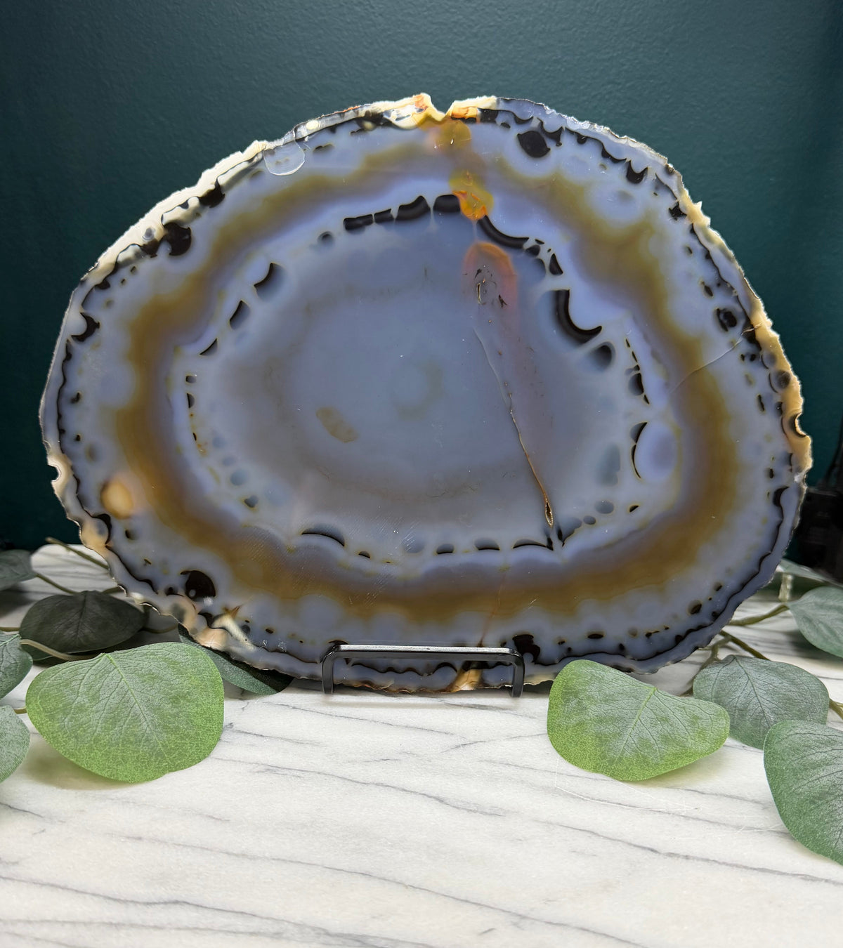 Blue & White Agate Slice | Cabinet Sized Mineral Specimen from Brazil