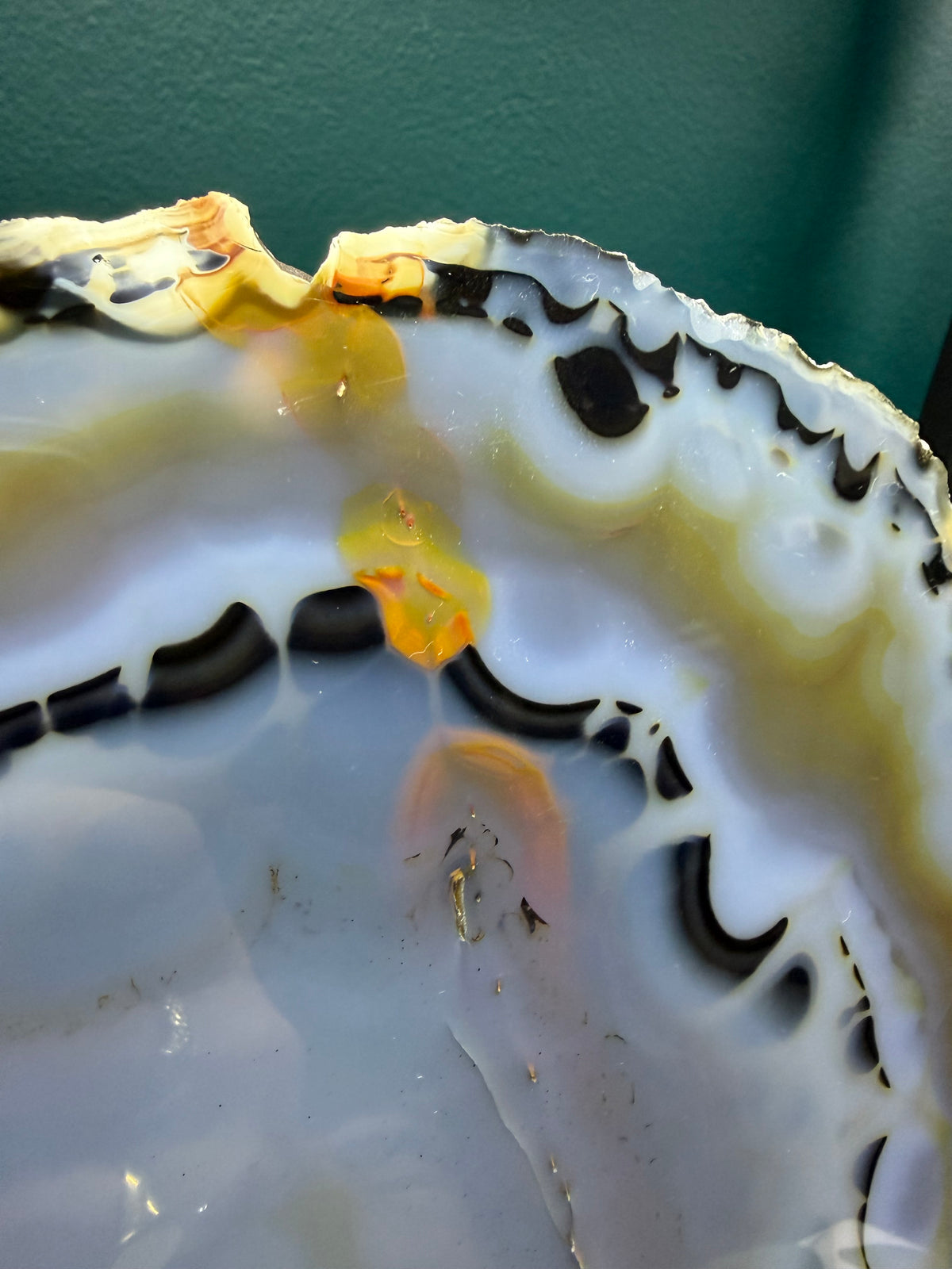 Blue & White Agate Slice | Cabinet Sized Mineral Specimen from Brazil