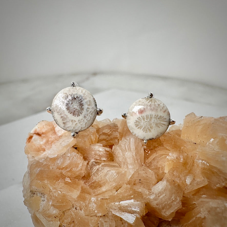 Fossilized Coral Stud Earrings | Sterling Silver