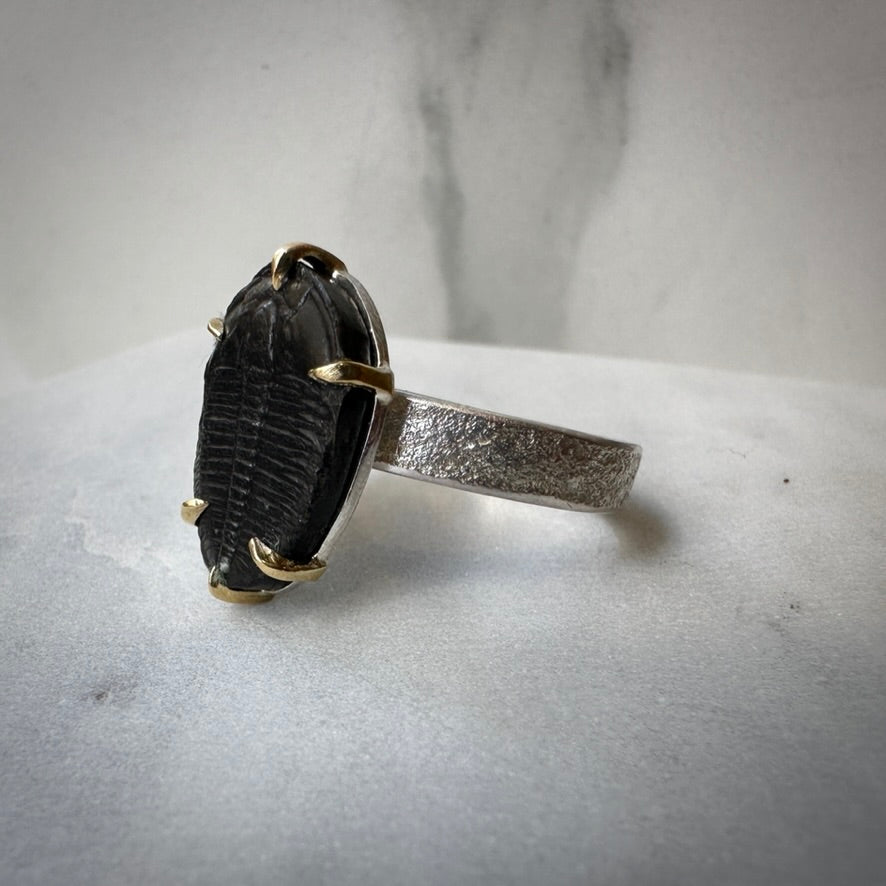 Trilobite Ring in Sterling Silver and 18k Yellow Gold