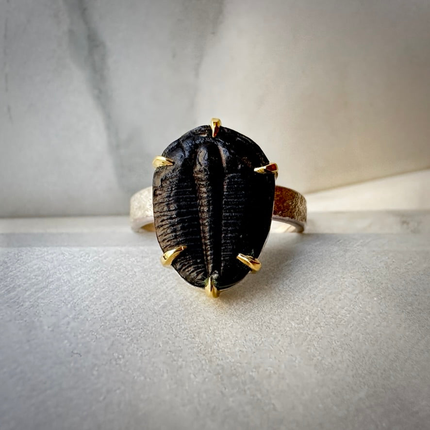 Trilobite Ring in Sterling Silver and 18k Yellow Gold