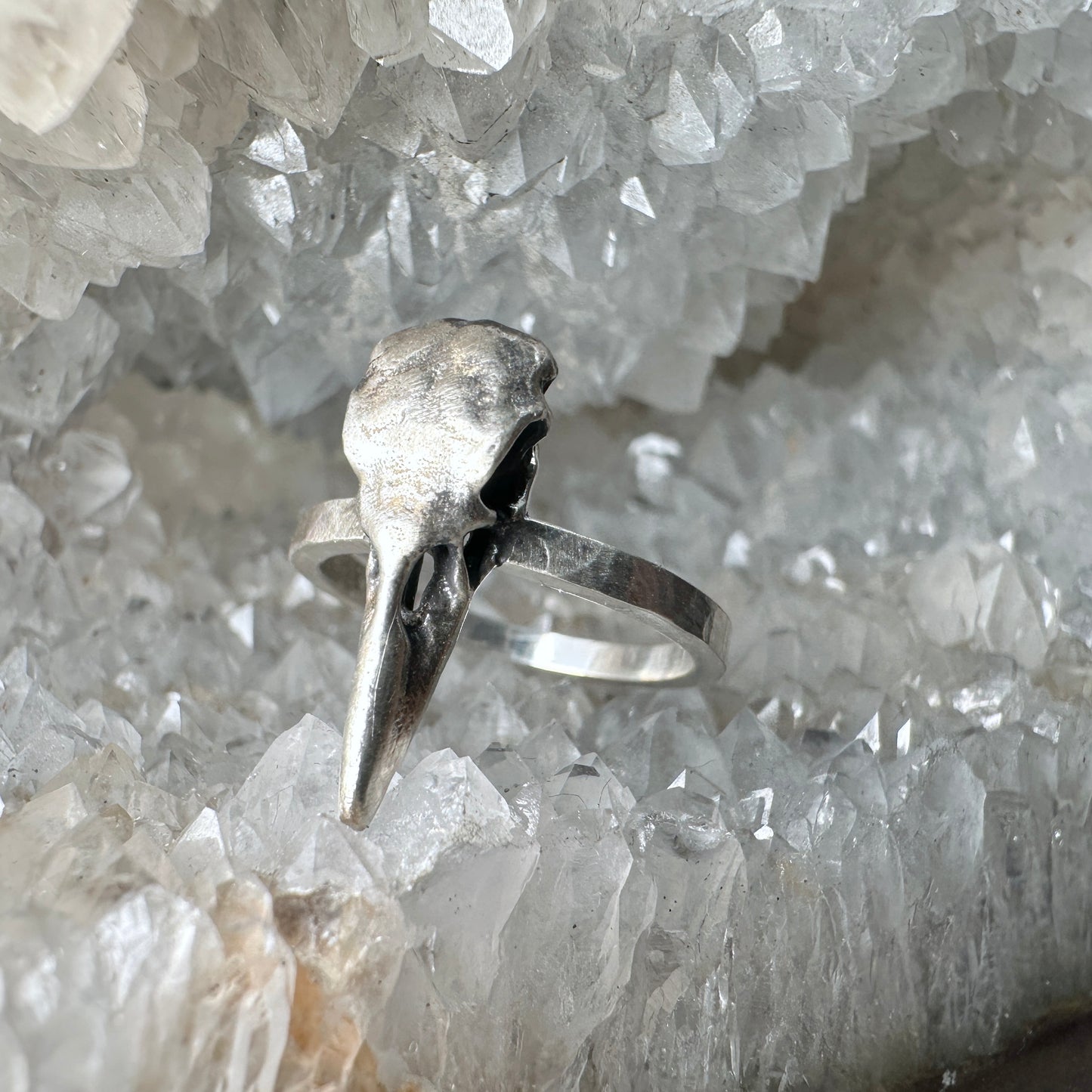 Raven Skull Ring 2mm Band | Sterling Silver