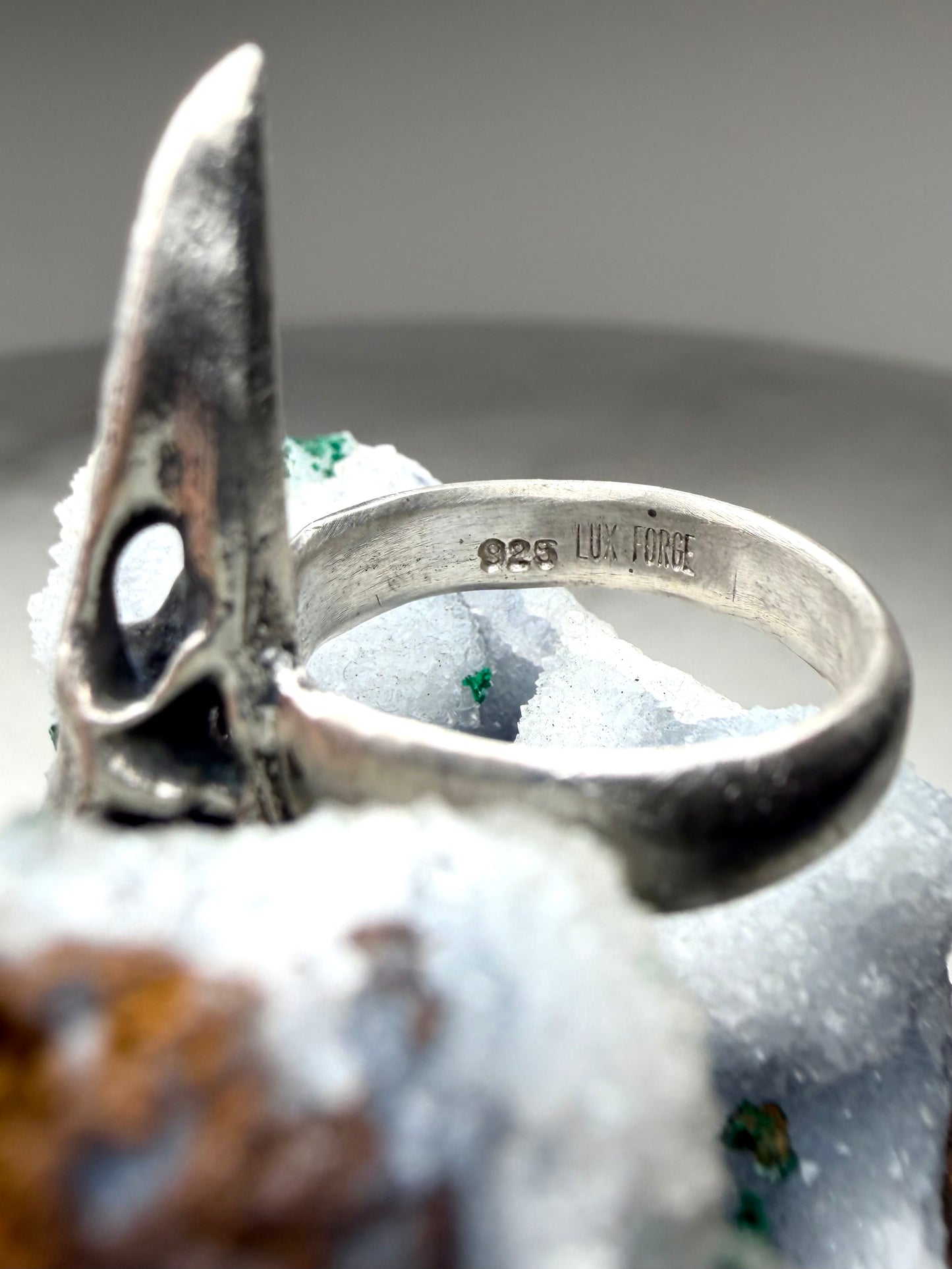 Raven Skull Ring with Wide Band | Sterling Silver
