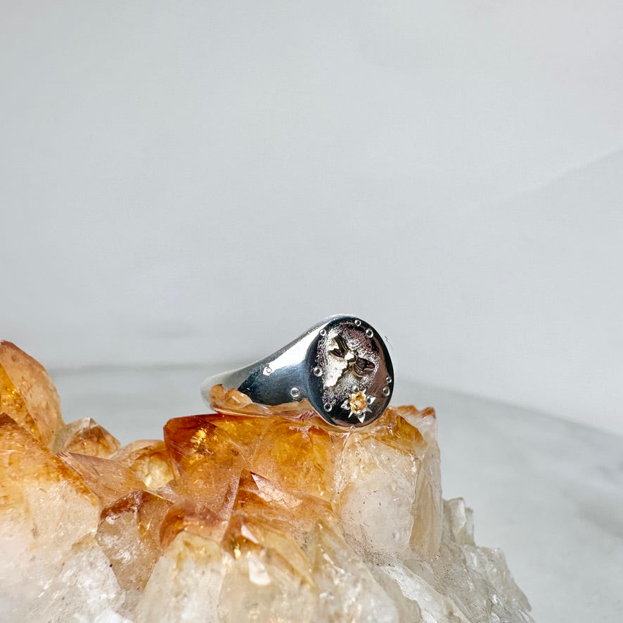 Orange Garnet & Dragonfly Signet Ring | 14k Yellow Gold & Sterling Silver