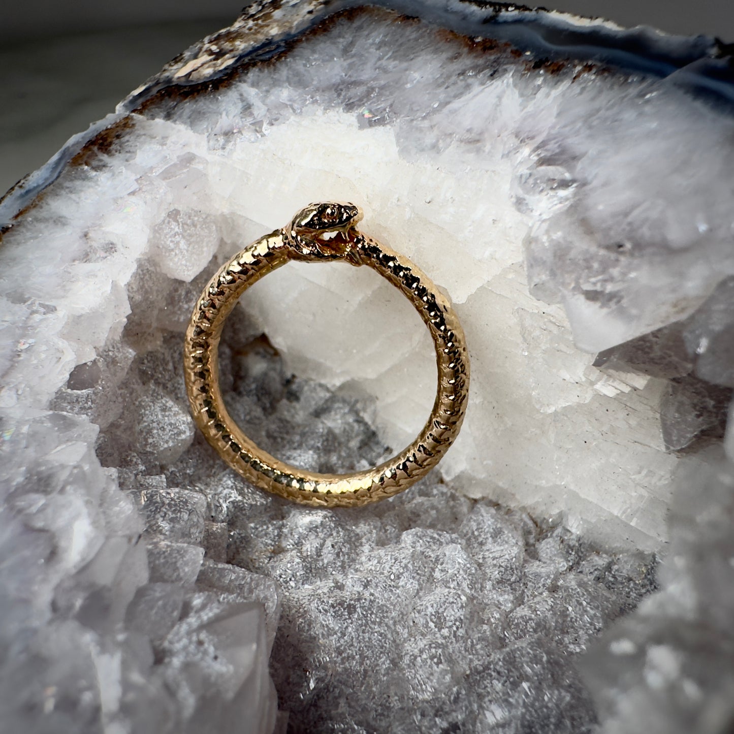 Ouroboros Ring in 14k Yellow Gold