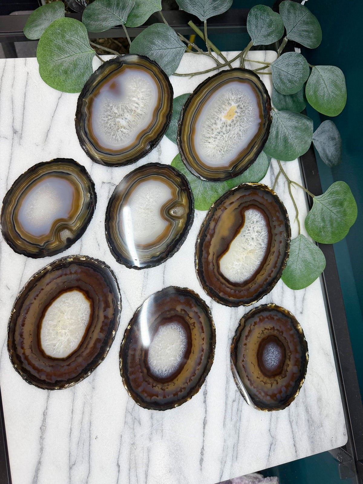 Brown Striped Agate Slices | Mineral Specimen from Brazil