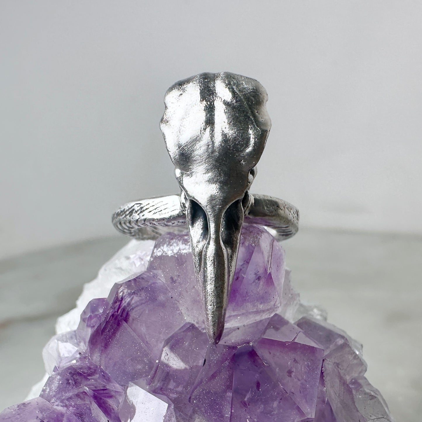 Raven Skull Ring with Organic Band | Sterling Silver