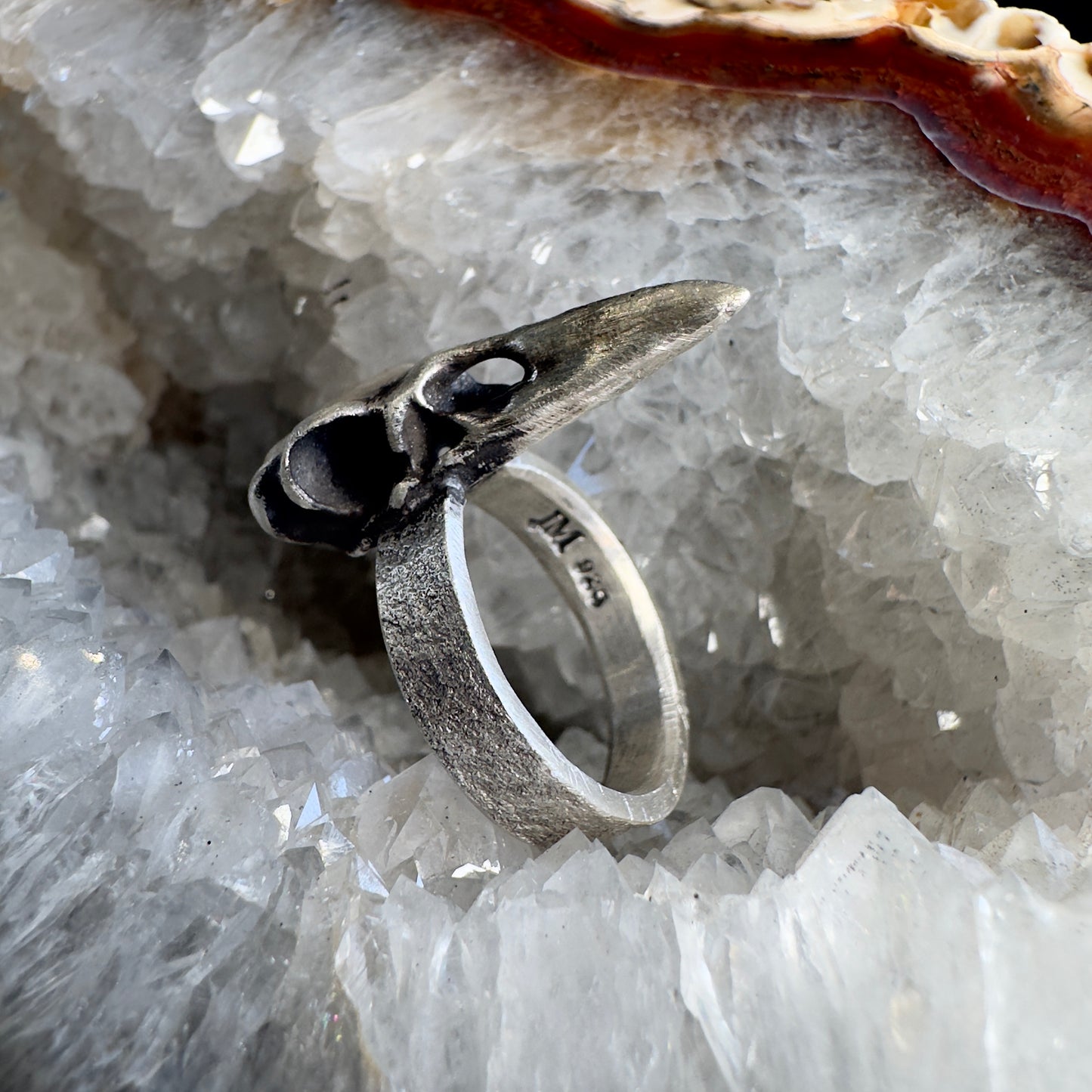 Raven Skull Ring with Wide Band