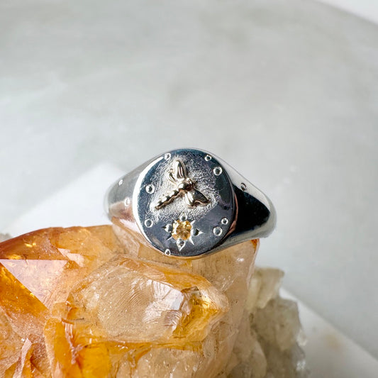 Orange Garnet & Dragonfly Signet Ring | 14k Yellow Gold & Sterling Silver