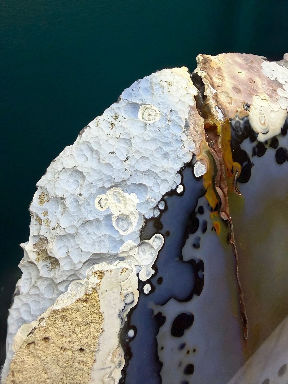Blue & White Agate Slice | Cabinet Sized Mineral Specimen from Brazil