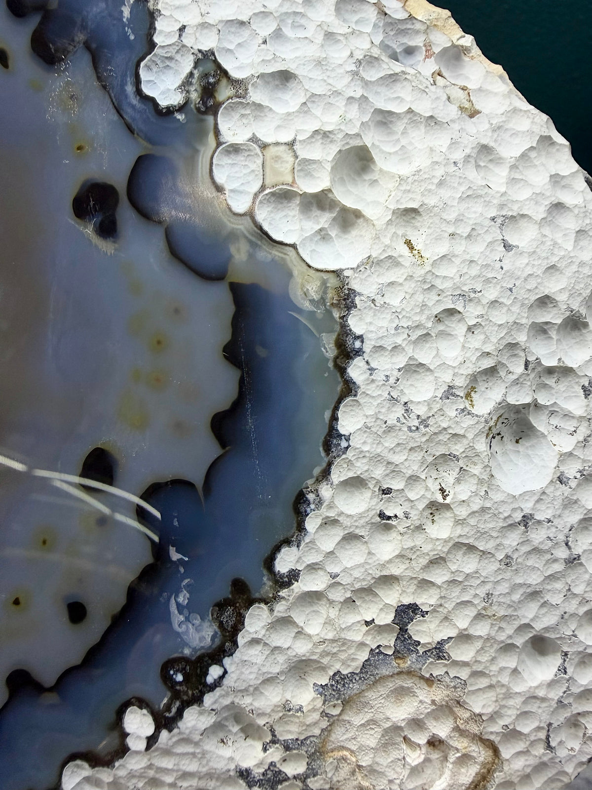Blue & White Agate Slice | Cabinet Sized Mineral Specimen from Brazil