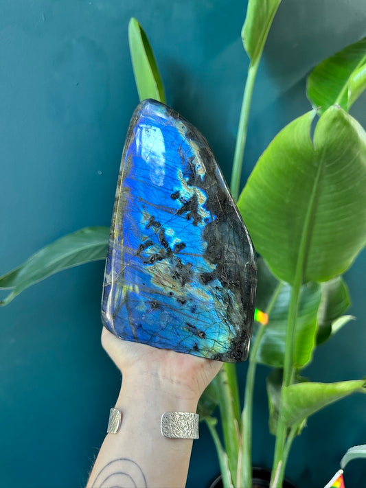 Double-Sided Blue and Rainbow Labradorite | Large Sized