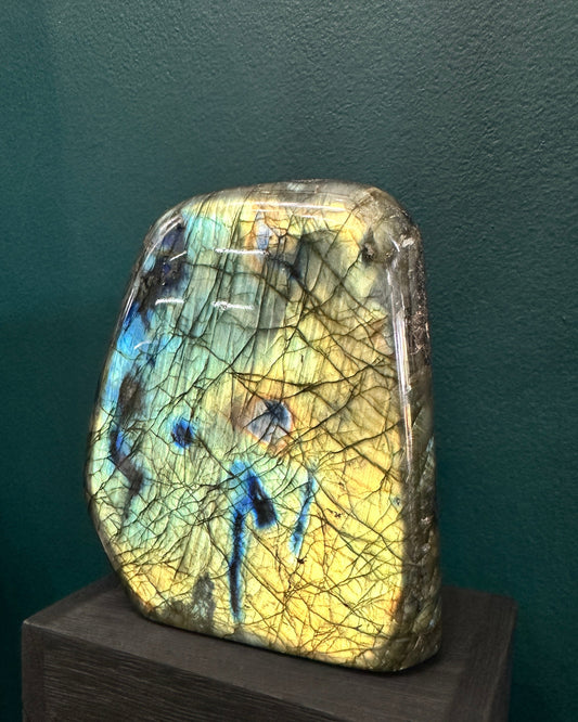 Yellow Labradorite Polished Freeform | Small Sized