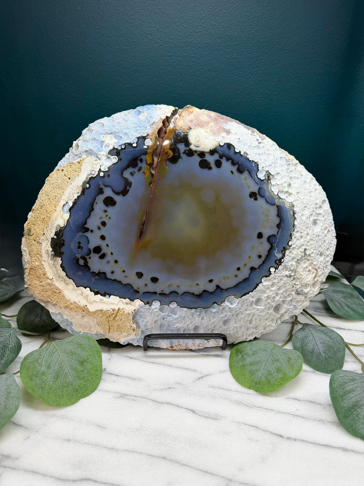 Blue & White Agate Slice | Cabinet Sized Mineral Specimen from Brazil