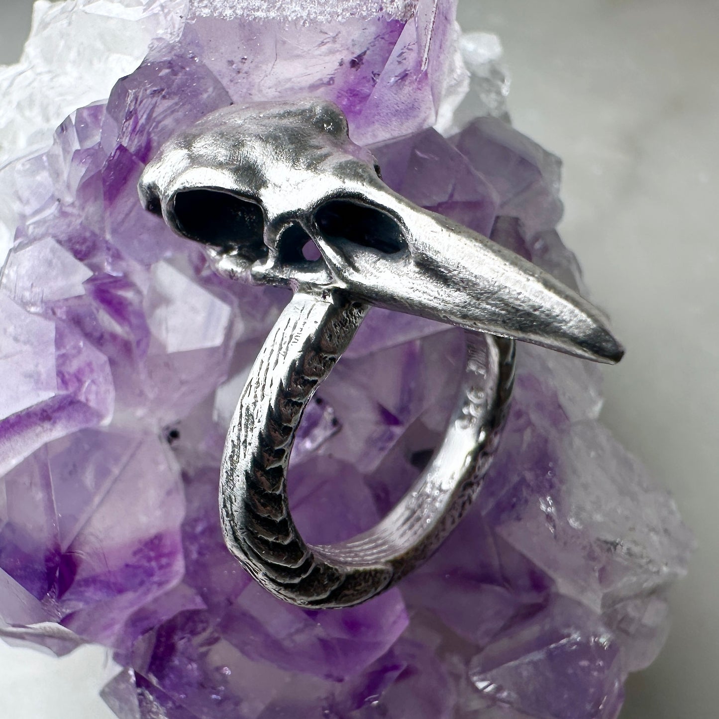 Raven Skull Ring with Organic Band | Sterling Silver