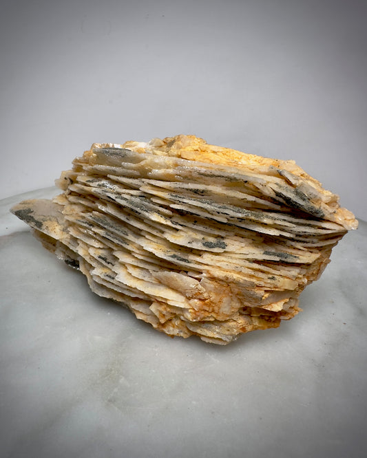 Barite with Pyrite (Large)