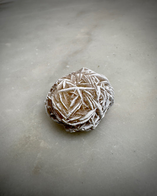 Desert Rose (Small)