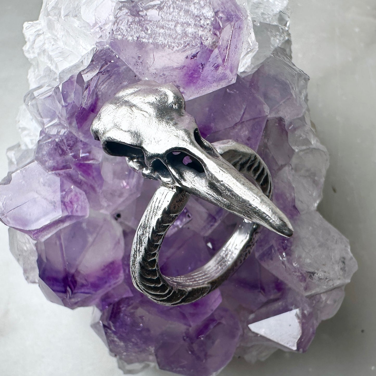 Raven Skull Ring with Organic Band | Sterling Silver
