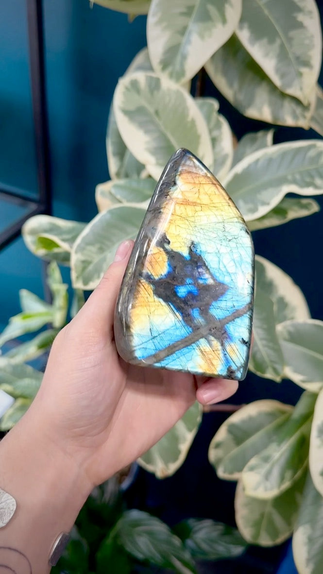 Labradorite with Rainbow Flash (XS)