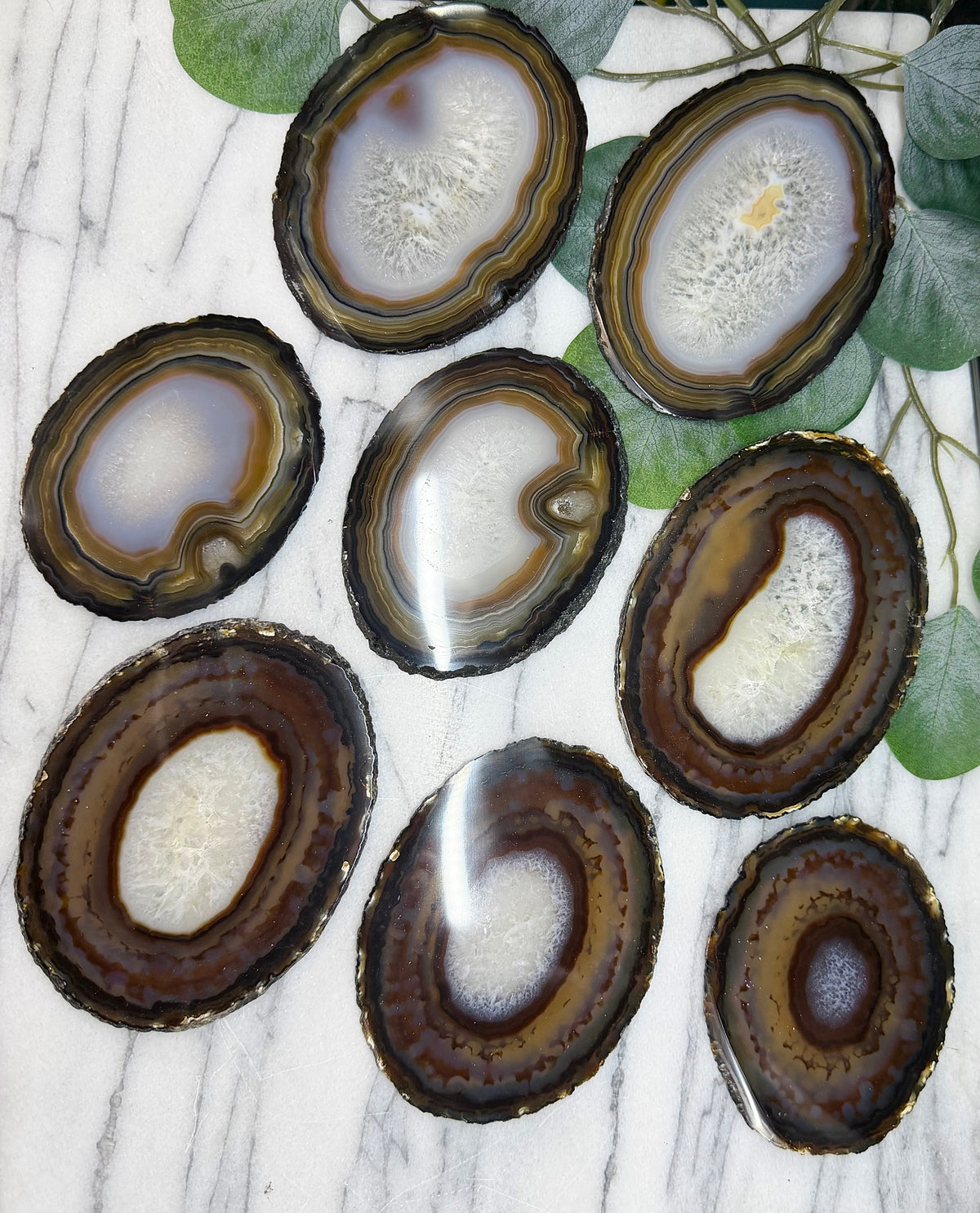 Brown Striped Agate Slices | Mineral Specimen from Brazil